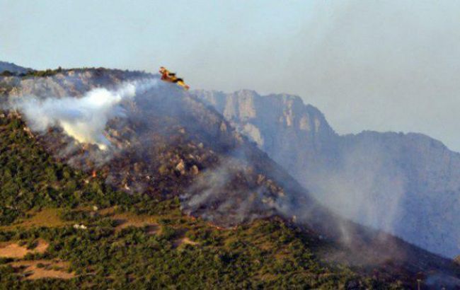 В Греции объявили массовую эвакуацию из-за лесных пожаров