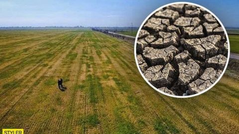 Стало известно, какие области Украины потерпят разрушительные потери из-за изменения климата