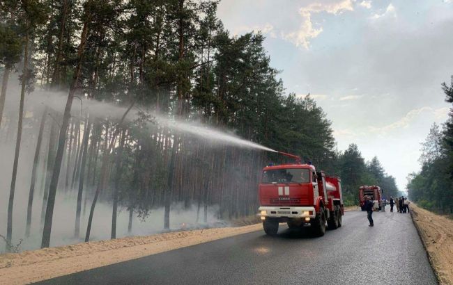 В Луганской области загорелся лес из-за обстрела боевиков