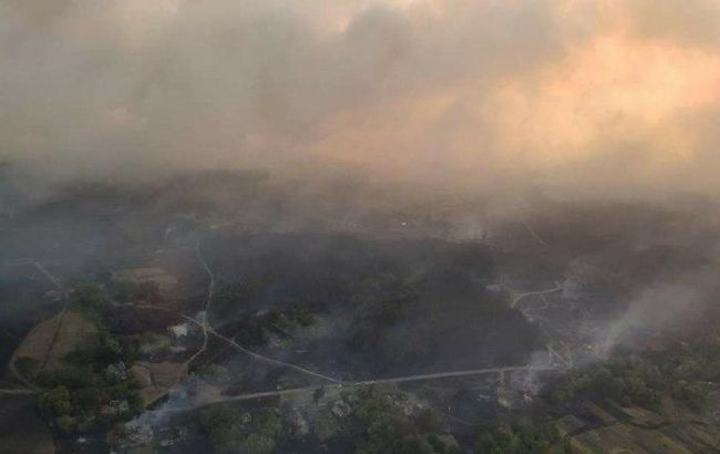Пожары в Харьковской области возникли одновременно в трех районах - ОГА