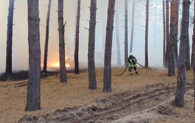 Пожежі в Луганській області: є загроза селам, проводиться масова евакуація