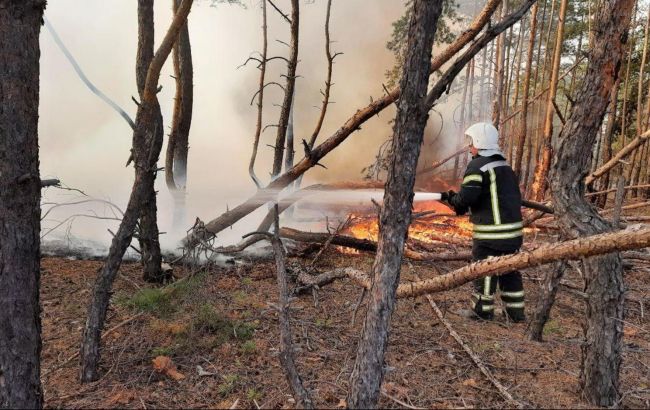 Пожар в Луганской области продолжают тушить, ветер не утихает