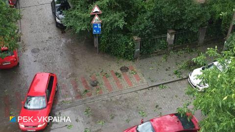 Повалені дерева та зупинений електротранспорт. Львів накрила сильна буря