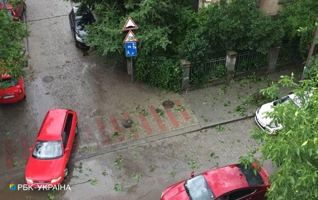 Повалені дерева та зупинений електротранспорт. Львів накрила сильна буря