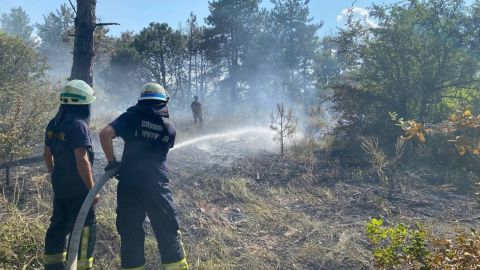 На острове Хортица потушили пожар