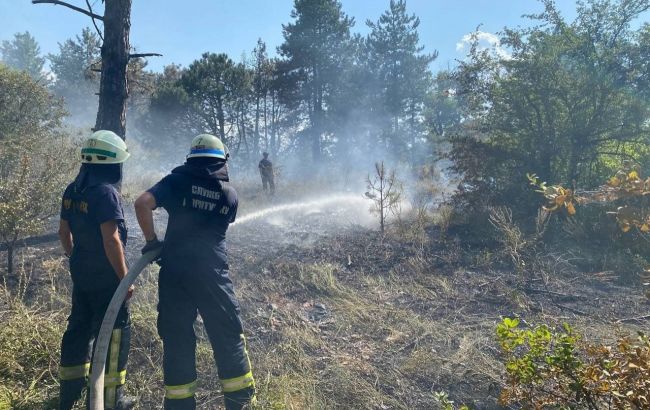 На острові Хортиця загасили пожежу