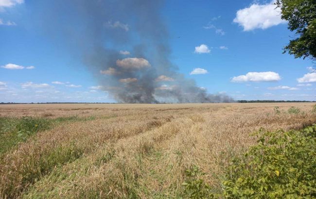 Окупанти вдарили по полю з пшеницею на Сумщині: у ДПСУ показали наслідки