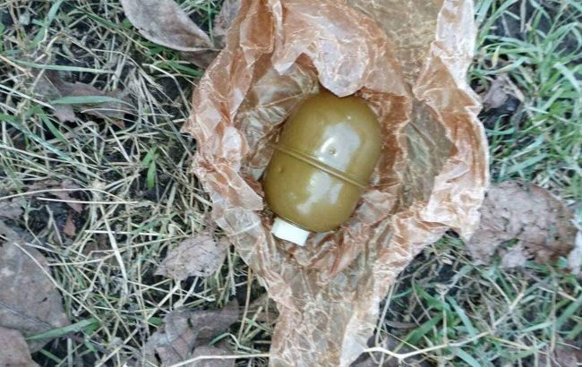 В Днепре в мусорном баке нашли мешок с гранатами и минами (фото)