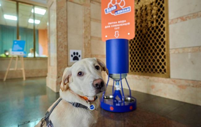 Їздити з улюбленцем стало простіше: "Укрзалізниця" оновила правила перевезення тварин