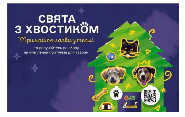 Тримайте лапки в теплі! EVA та Happy Paw запустили проєкт допомоги  тваринам у притулках