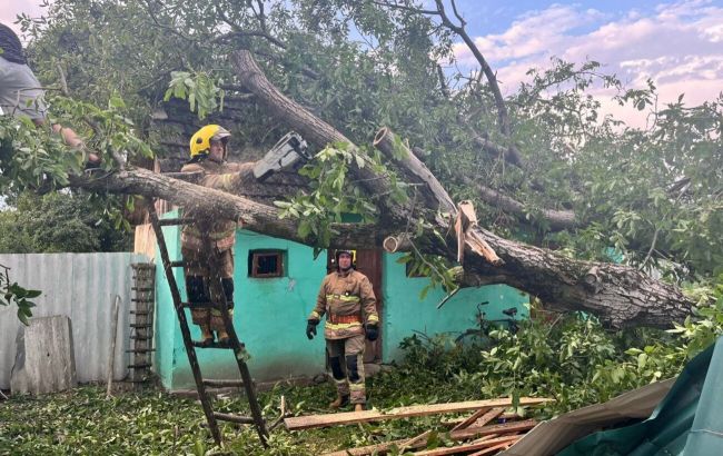 Сорванные крыши, поваленные деревья и обесточивание: ряд областей Украины накрыл ураган