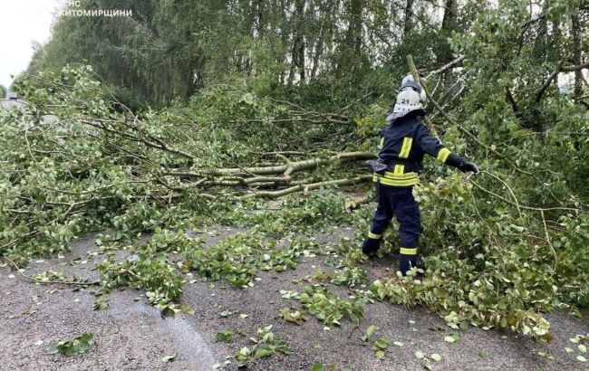 Поваленные деревья, затопленные дома и улицы: в ГСЧС показали последствия непогоды в Украине