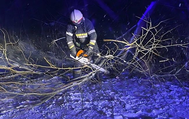 Непогода накрыла еще один регион: на Житомирщине ГСЧС убирает поваленные деревья
