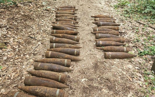 У Берліні в лісі знайшли 59 нерозірваних радянських снарядів часів Другої світової