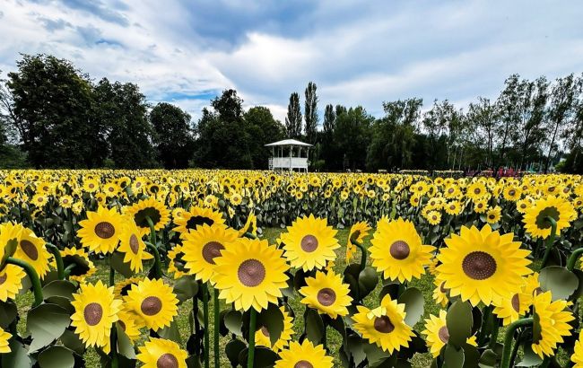 Літо. Спорт. Агро: найбільший лабіринт із соняшників відкриється на ВДНГ