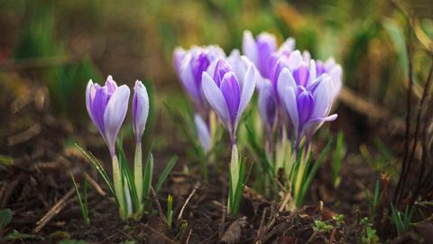 Погода на 21 квітня: синоптики попередили про зміни