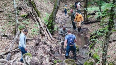 Намагаються наповнити водосховища. Окупанти в Криму взялися розчищати русла річок