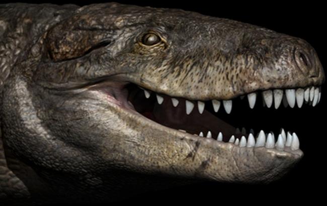 На Мадагаскарі вчені знайшли останки "вбивці динозаврів"
