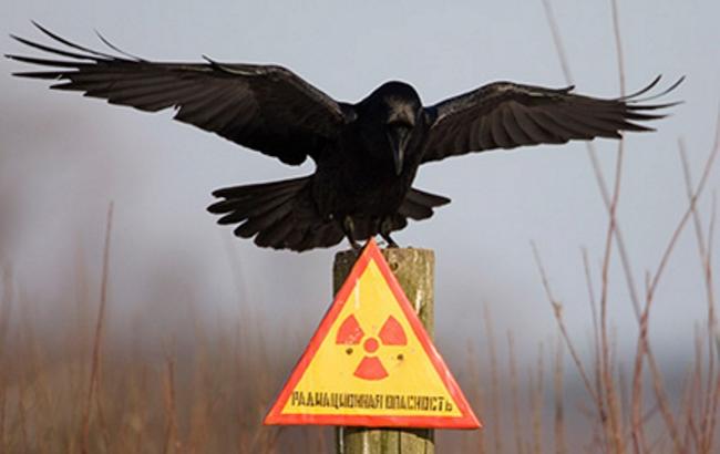 У Чорнобилі відкриють майданчик для технічних експериментів