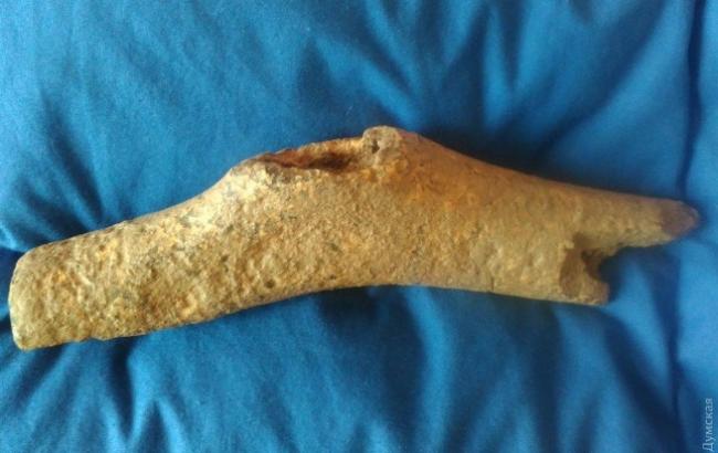 В Одесі студенти знайшли цінну археологічну знахідку віком 7 тисяч років