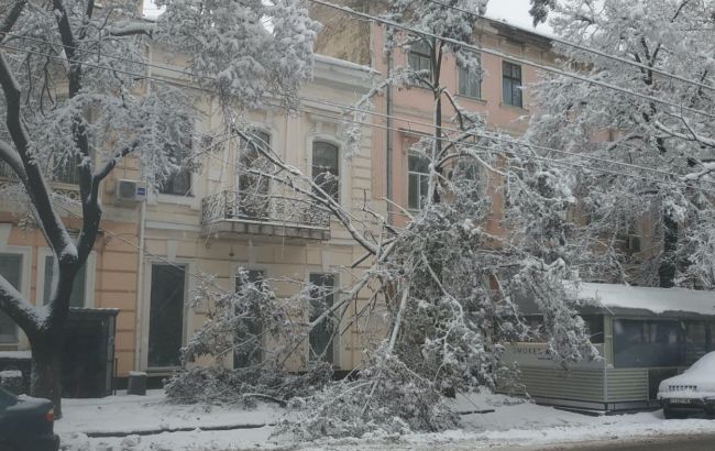 В Украине из-за непогоды остаются обесточенными более 350 населенных пунктов