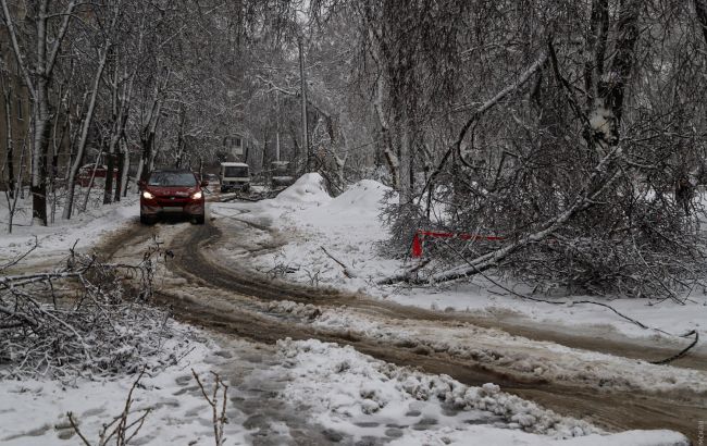 Одеса під снігом. Зупинився електротранспорт, дерево зруйнувало частину будинку