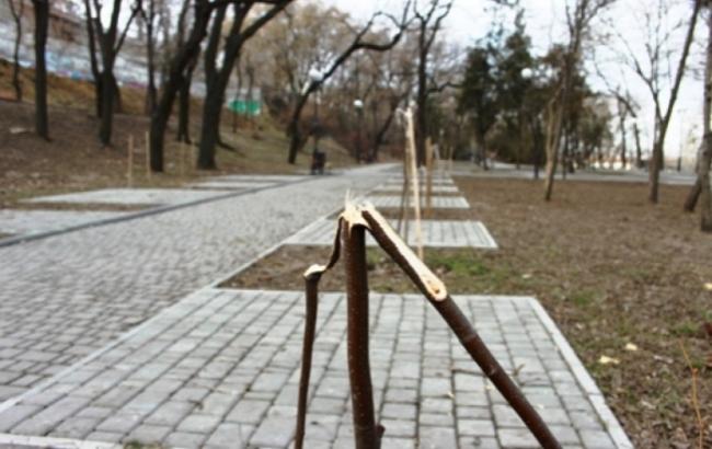 В Одессе вандалы уничтожили аллею Небесной сотни