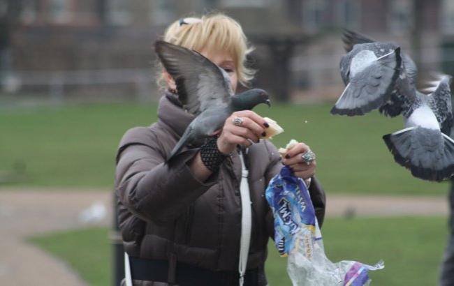Голодная одесситка отбирала хлеб у голубей