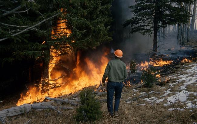 В Канаде вспыхнуло более 140 лесных пожаров