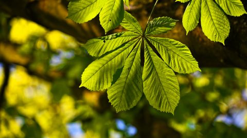 У Запоріжжі на фото потрапила природна аномалія: здивувалися навіть кліматологи