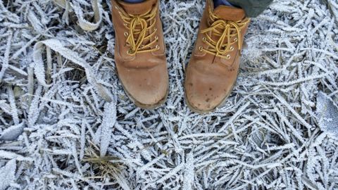 Синоптики попередили, що вночі в Україну прийдуть заморозки