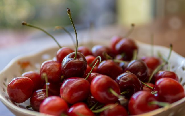 Украинские фермеры вырастили черешню рекордных размеров: фото ягоды-гиганта
