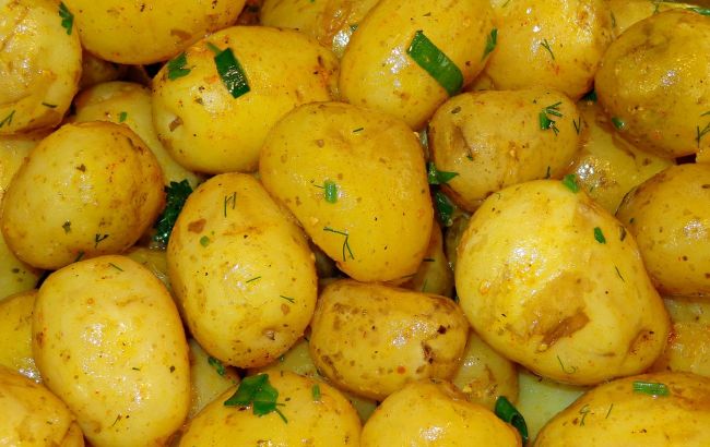 Врачи рассказали, кому категорически запрещено есть молодой картофель