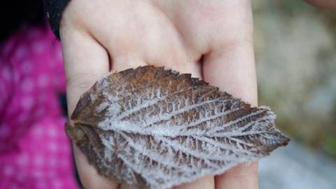 Синоптик розповіла українцям про погоду на День Гідності та Свободи