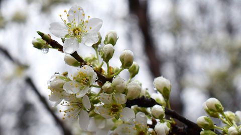 Синоптики розповіли, коли в Україну повернуться дощі