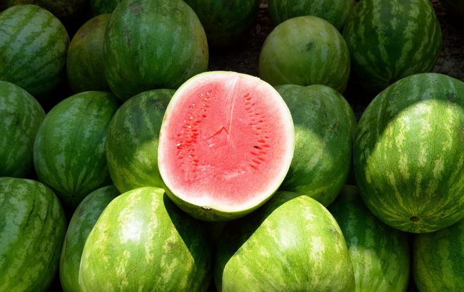 У Херсонській області стався колапс з кавунами: фермери б'ють на сполох