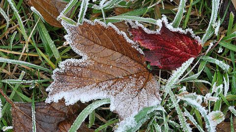 Синоптик рассказала, когда в Украине ожидается похолодание