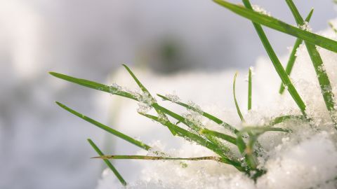 Частину України засипало снігом: з'явилися фото