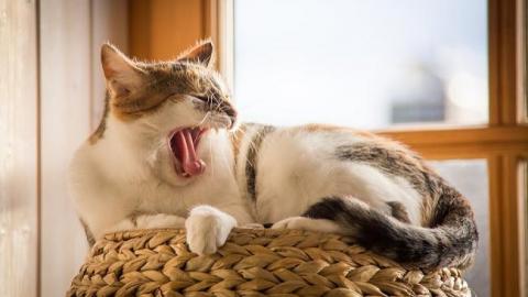 30 июля: праздники и важные события на этот день