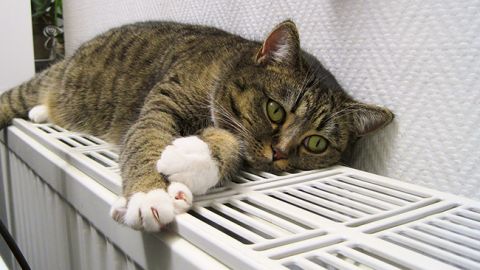 У Луцьку завершиться опалювальний сезон 5 квітня