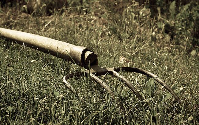 "Показалось, что на войне": в Кропивницком мужчина заколол вилами жену и тещу