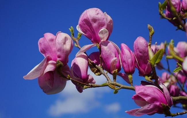 Что предсказывают звезды на 29 июля: гороскоп на сегодня