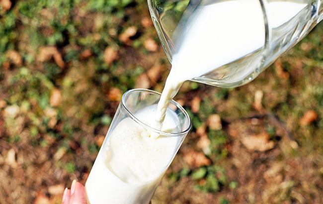 Украина увеличила экспорт молочных продуктов почти на 18 млн долларов