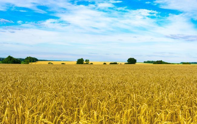 У деяких районах Одеської області планують оголосити НС через втрату врожаю