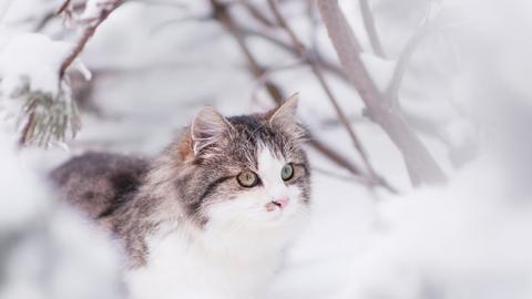 Новый циклон на пороге: синоптик рассказала о погоде на выходные