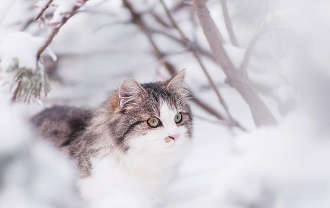 Новий циклон на порозі: синоптик розповіла про погоду на вихідні
