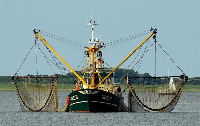 У Чорному морі заборонили промисловий вилов мідій та креветок