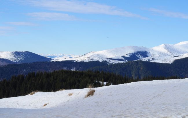 Карпати на початку травня засипає снігом: вдарив мороз - 3