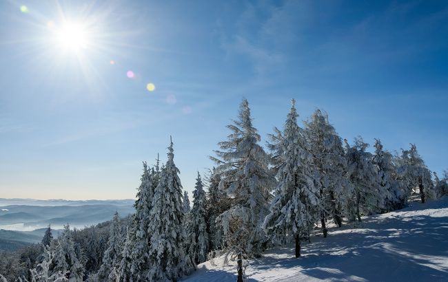 Зима в листопаді: регіон України засипає пухнастим снігом (фото)