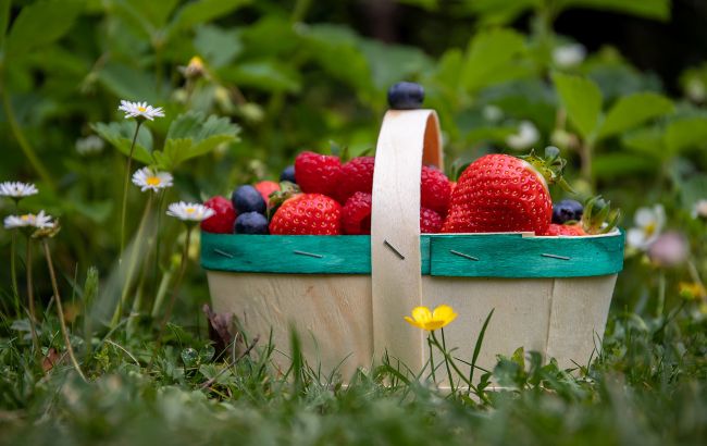 В Украине резко упала цена на клубнику: сколько сейчас стоят ягоды